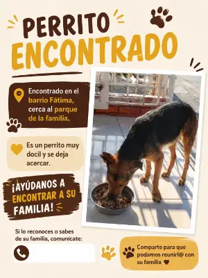 Perro encontrado — foto 2