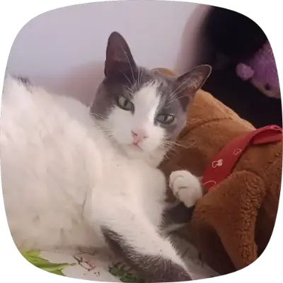 Luli — foto 1