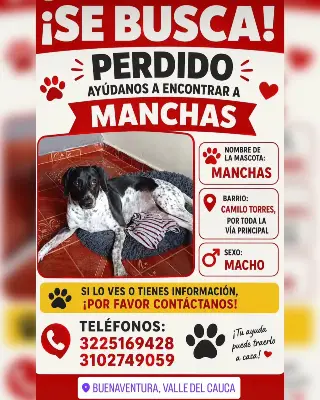 Manchas