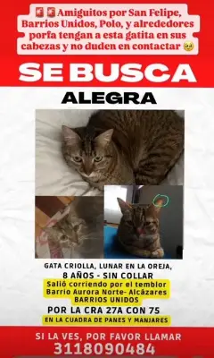 Alegra