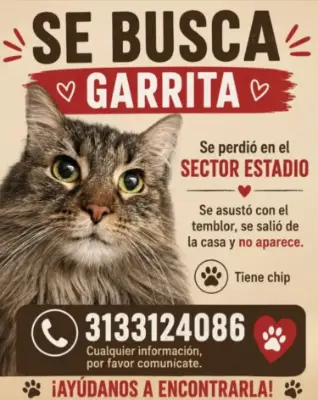 Garrita