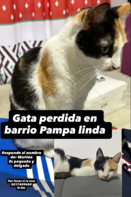 Martina