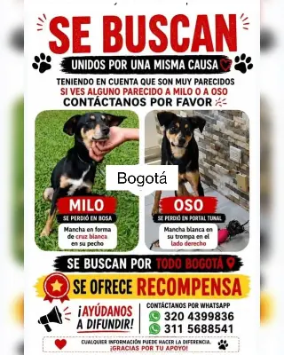 Milo