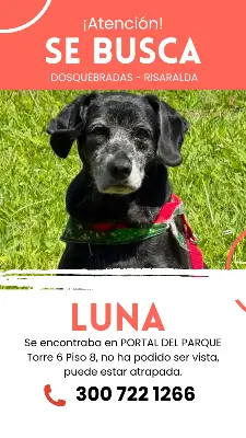 LUNA
