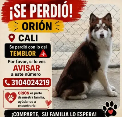 Orión