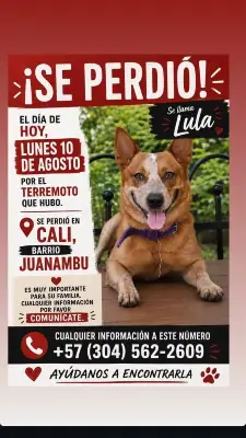 Lula