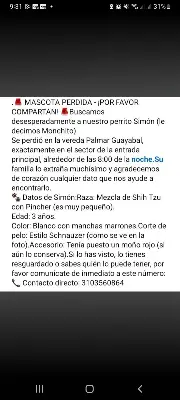 Simon monchito — foto 4