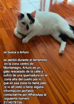 Arturo