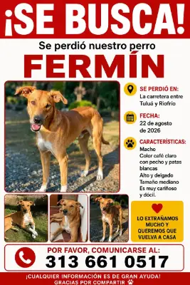 Fermín