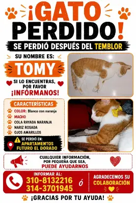 Tommy