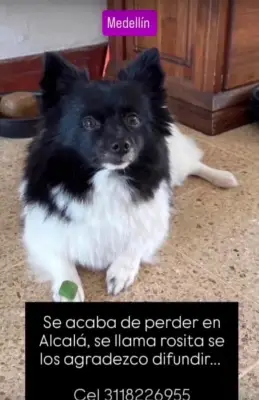 Rosita