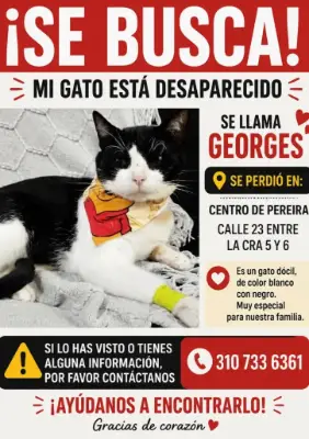 GEORGES