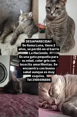 Foto de Luna, reunida con su familia