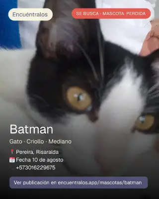 Batman — foto 2