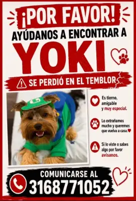 Yoki