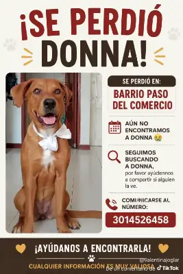 Donna