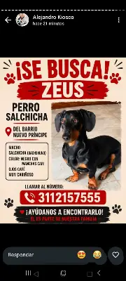 Zeus