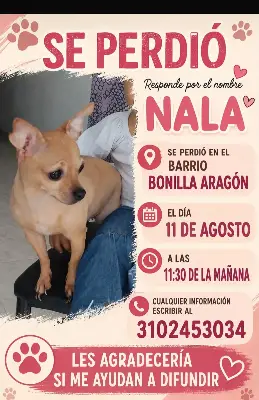 Nala