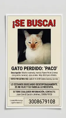 Paco — foto 2