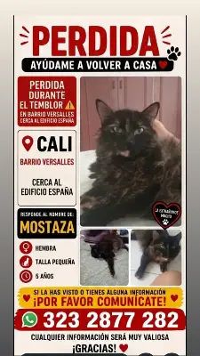 Mostaza
