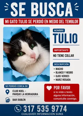 Tulio