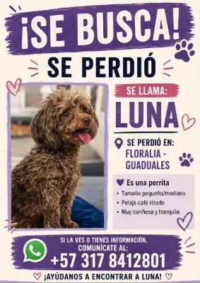 Luna
