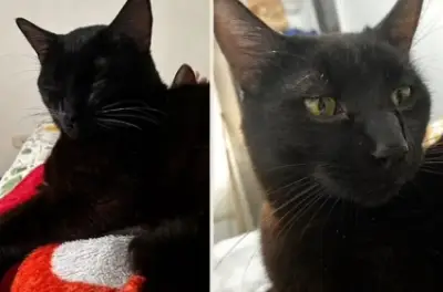 Salem