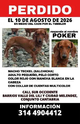 Poker