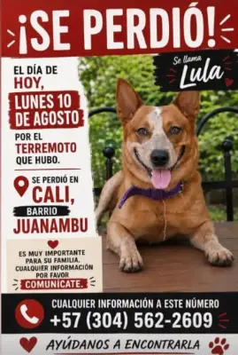 Lula