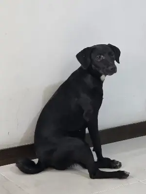 Luna — foto 1