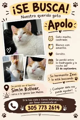 Apolo