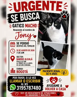 Jony