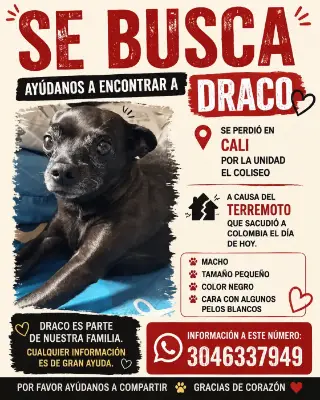 Foto de Draco, reunida con su familia