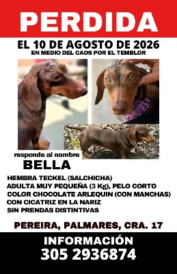Bella